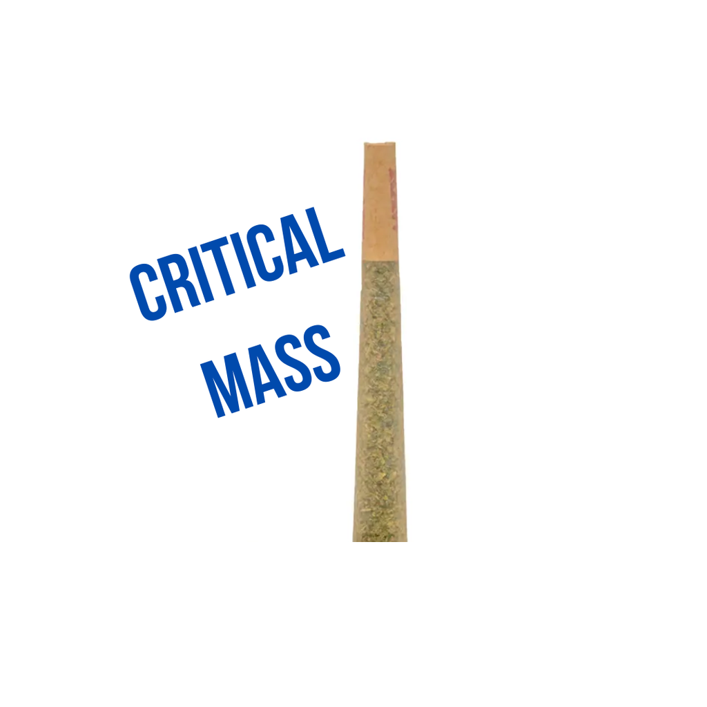 Critical Mass 1g Preroll