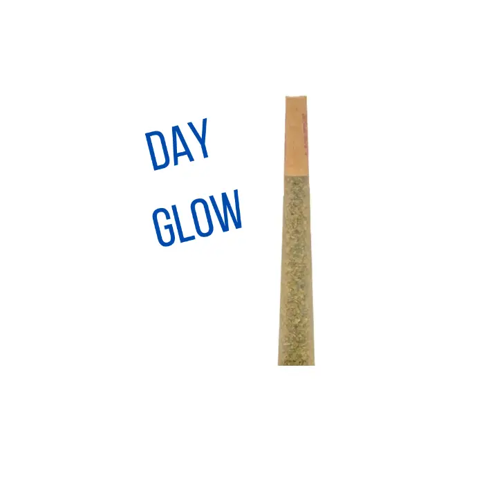 Day Glow 1g Preroll
