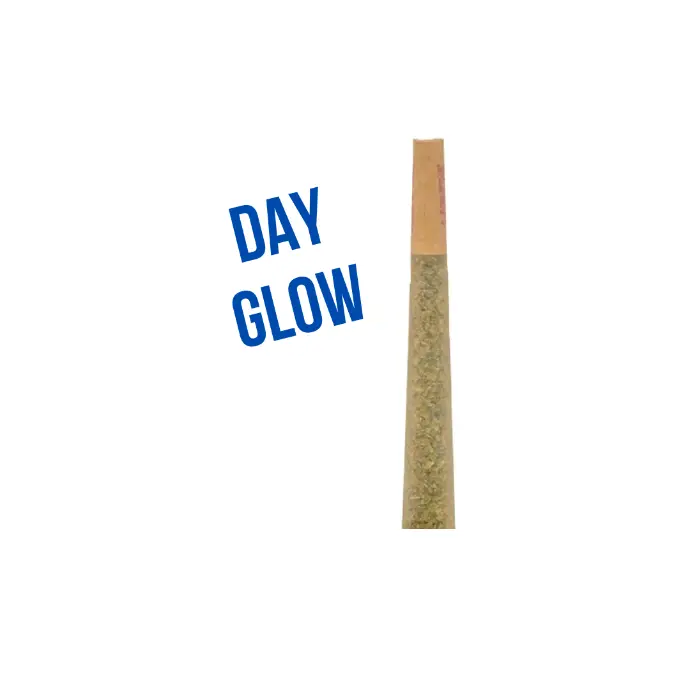 Day Glow 1g Preroll
