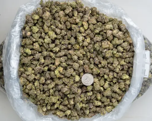 White Truffle
