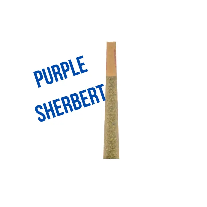 Purple Sherbert 1g Preroll