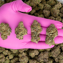 Hood Candy