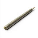 Prerolls - GG4 - 50 Count