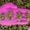 Gorilla Butter